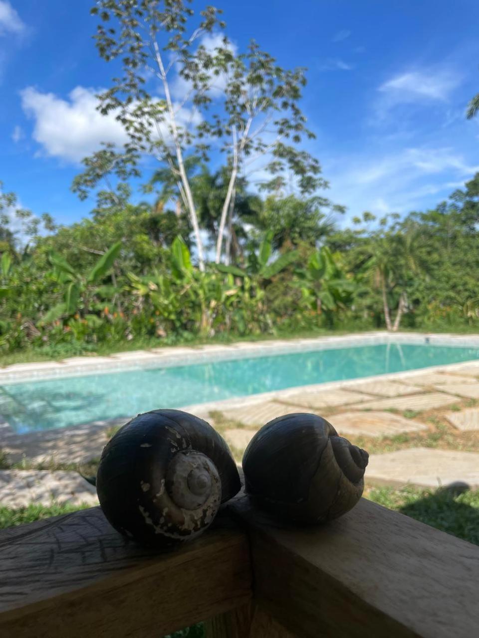 Purachata Ecolodge Iquitos Buitenkant foto